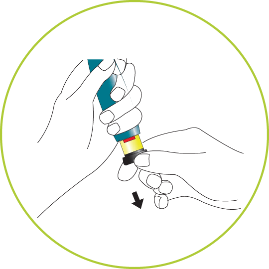 teriparitide ifu step three a